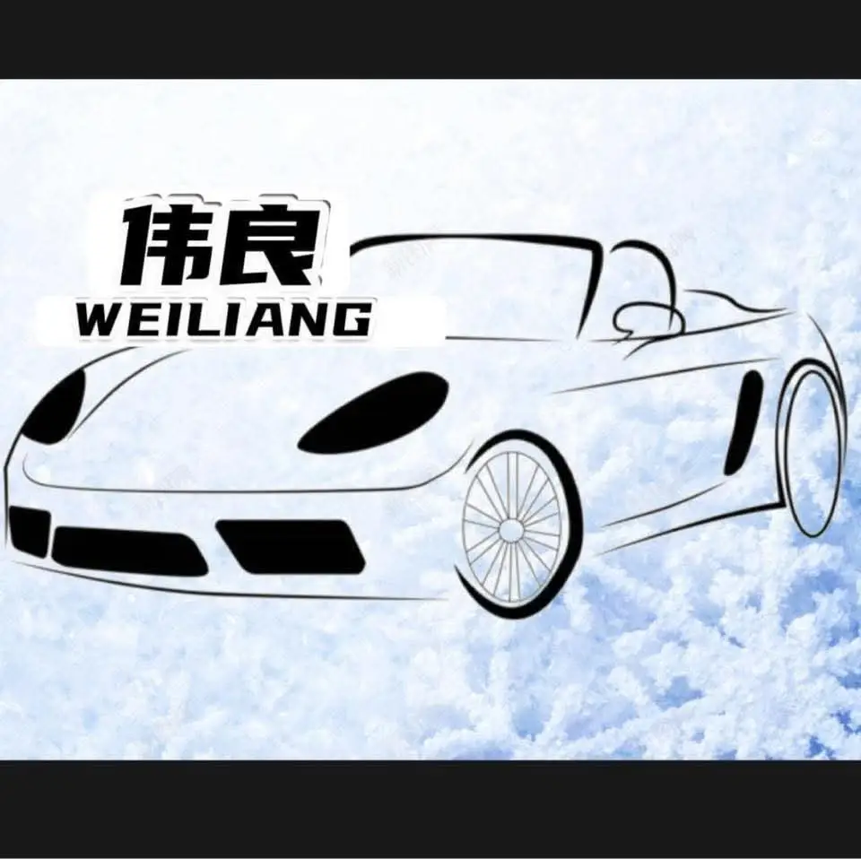 WEI LIANG CAR ELECTRICAL AND AIRCOND SERVICE - logo